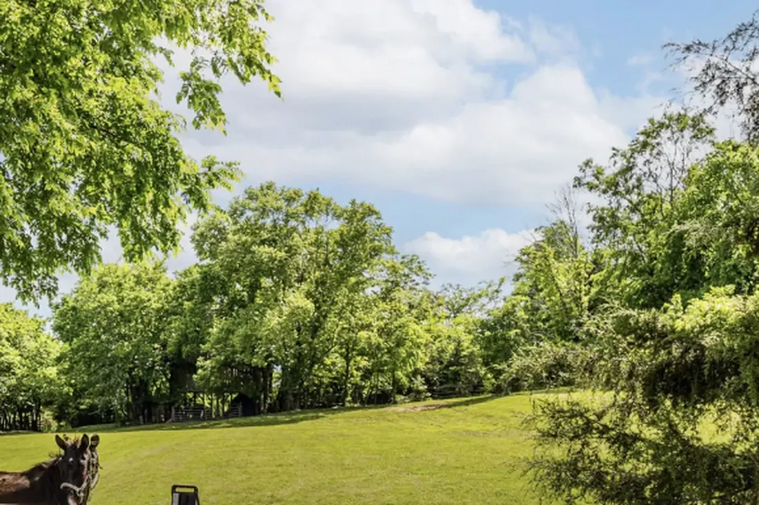 Open pasture and tree line on acreage